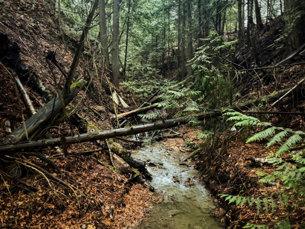 Existing creek channel conditions at Newsome Creek near BC Highway 1 in Sorrento, British Columbia before reconstruction works.