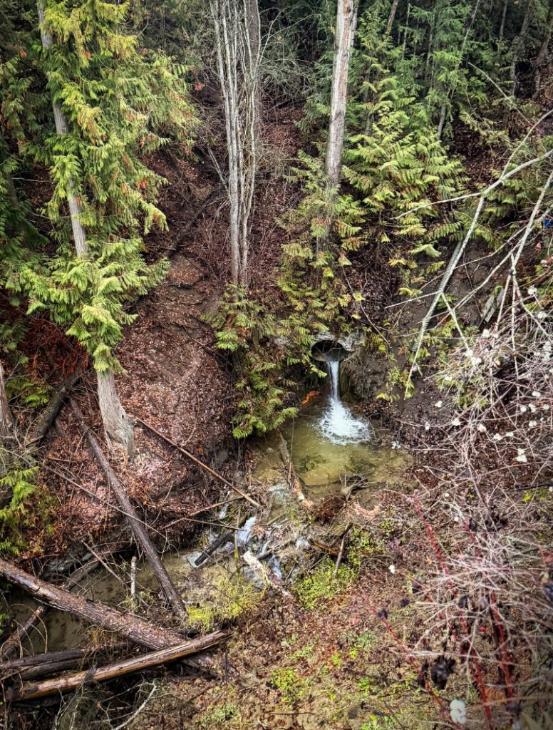 Existing culvert outlet at Newsome Creek beneath BC Highway 1 near Sorrento, BC prior to infrastructure improvements.